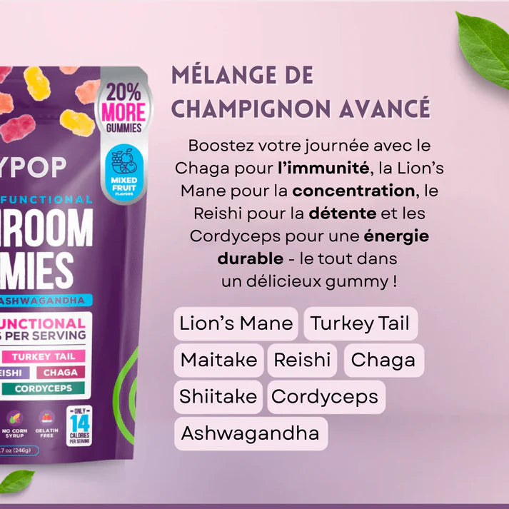 Mushroom Gummies : Champignons Fonctionnels – Focus & Énergie