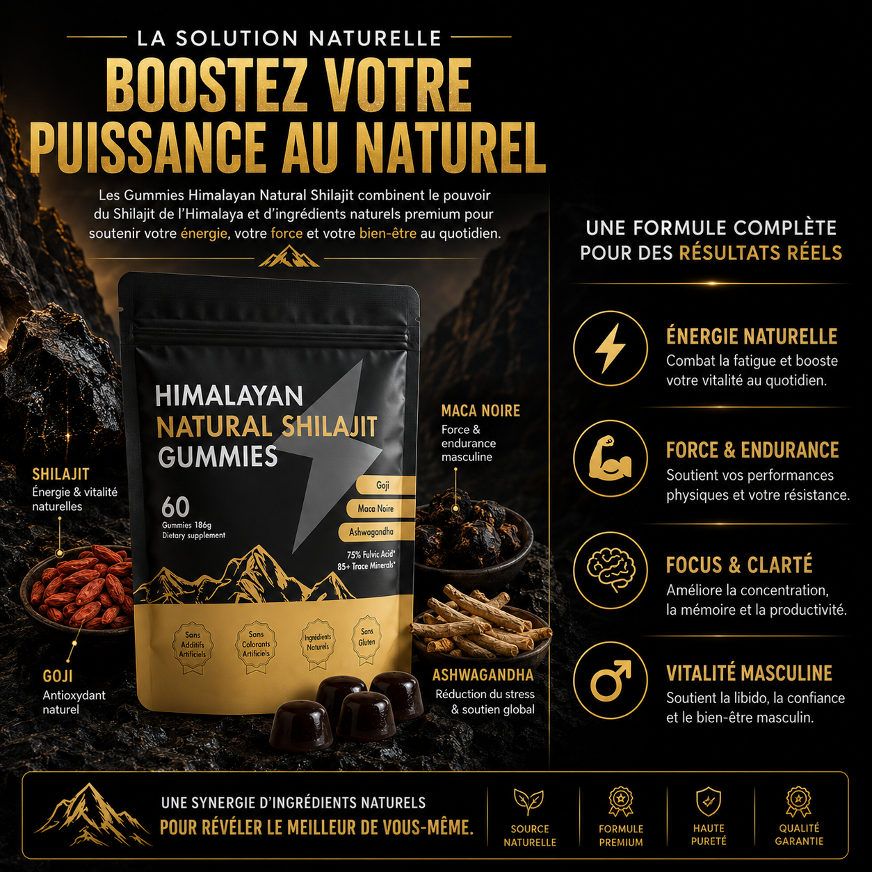 Shilajit Gummies Premium |Testostérone,Focus & Énergie