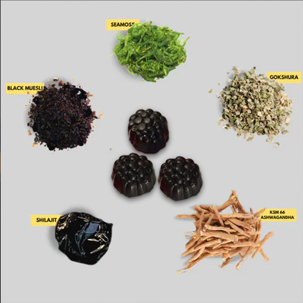 Gummies Shilajit 8 en 1 – la Vitalité Masculine, Immunité & Testostérone Naturelle