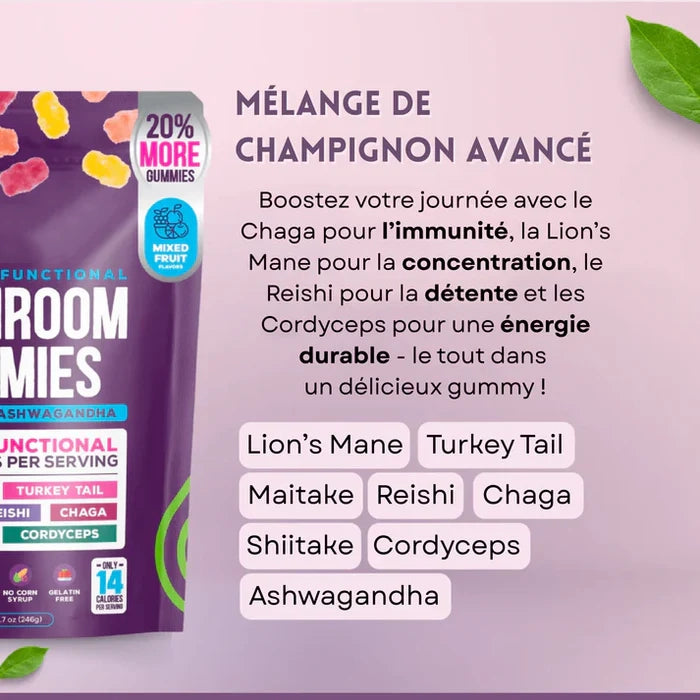 Mushroom Gummies : Champignons Fonctionnels – Focus & Énergie
