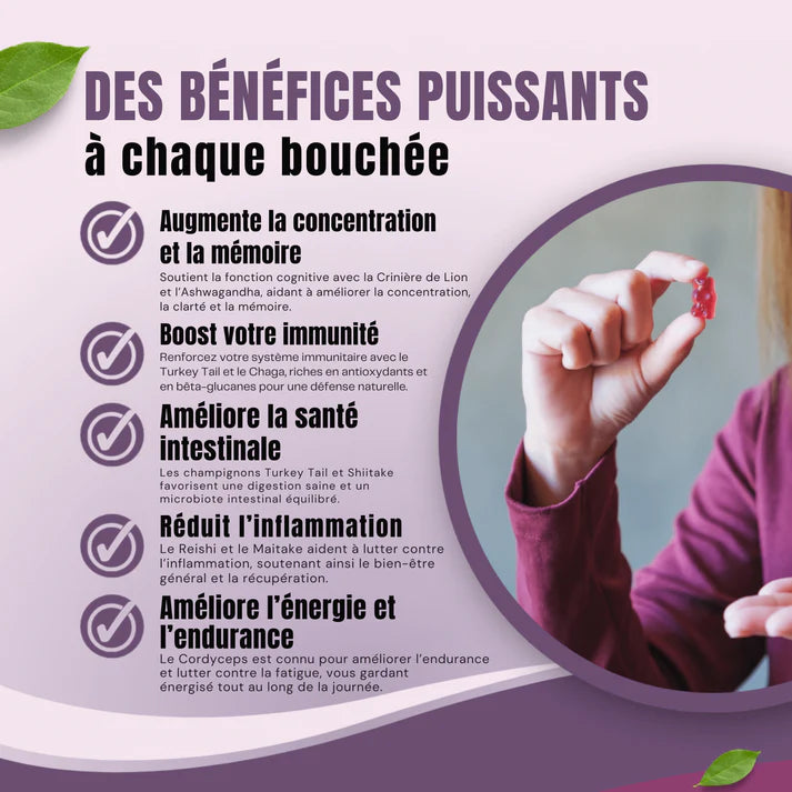 Mushroom Gummies : Champignons Fonctionnels – Focus & Énergie