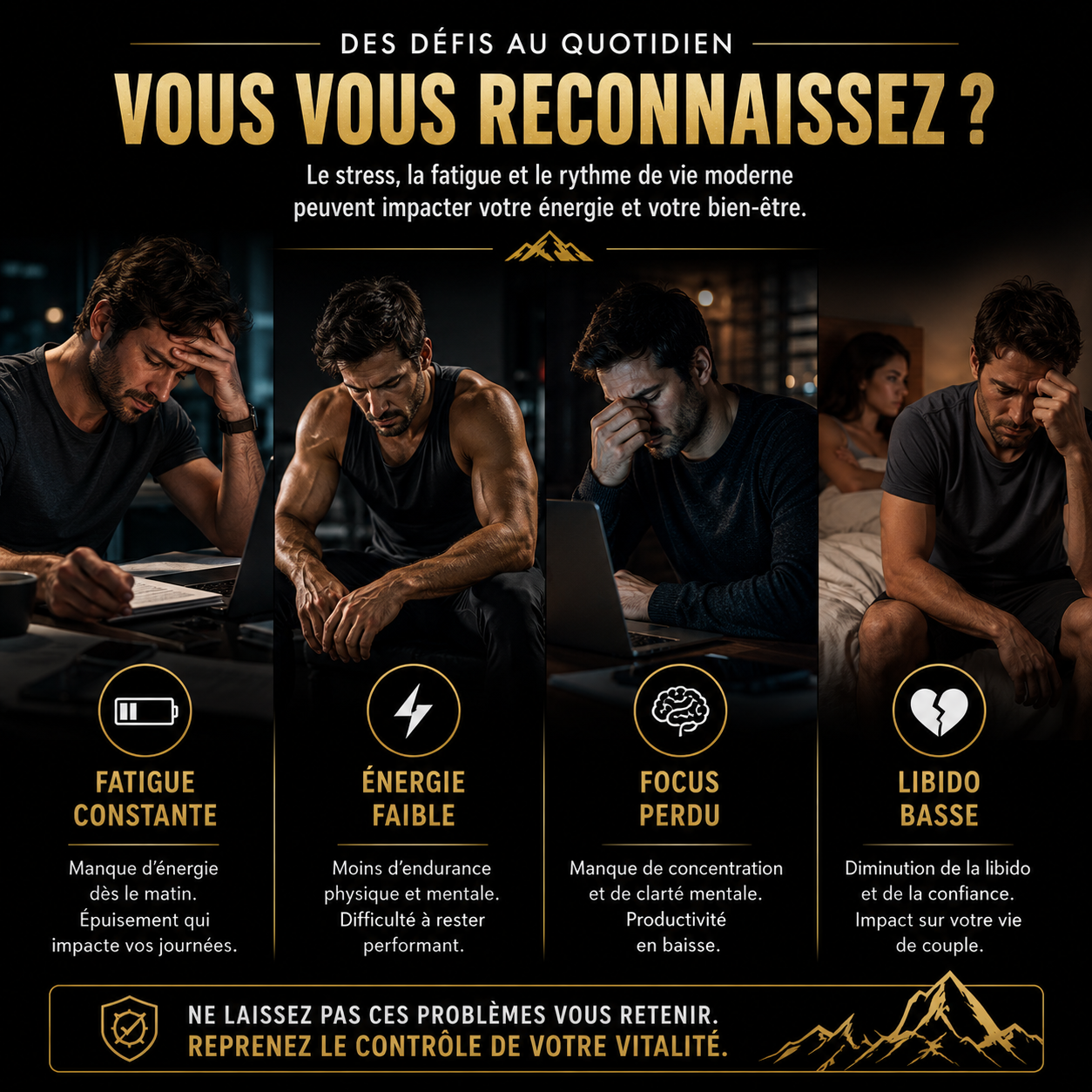 Shilajit Gummies Premium |Testostérone,Focus & Énergie