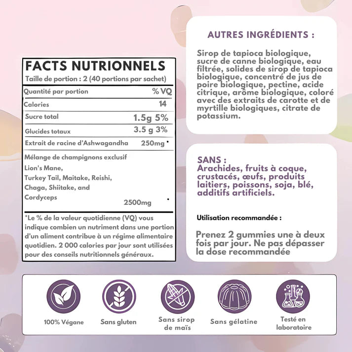 Mushroom Gummies : Champignons Fonctionnels – Focus & Énergie